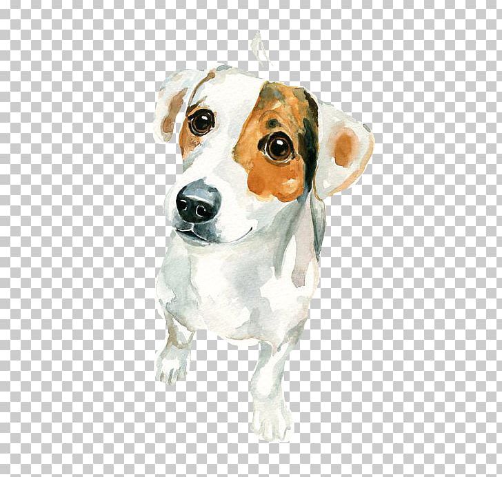 Jack Russell Terrier Watercolor Painting Art PNG, Clipart, Animal, Animals, Black White, Canvas, Carnivoran Free PNG Download