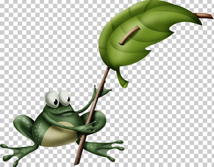 Tree Frog True Frog PNG, Clipart, Amphibian, Animal, Bleu, Cartoon, Cartoon Frog Free PNG Download