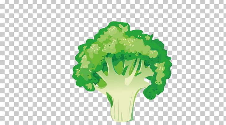 Vegetable Broccoli Asparagus Illustration PNG, Clipart, Broccoli 0 0 3, Broccoli Art, Broccoli Dog, Broccoli Sketch, Broccoli Sprout Free PNG Download
