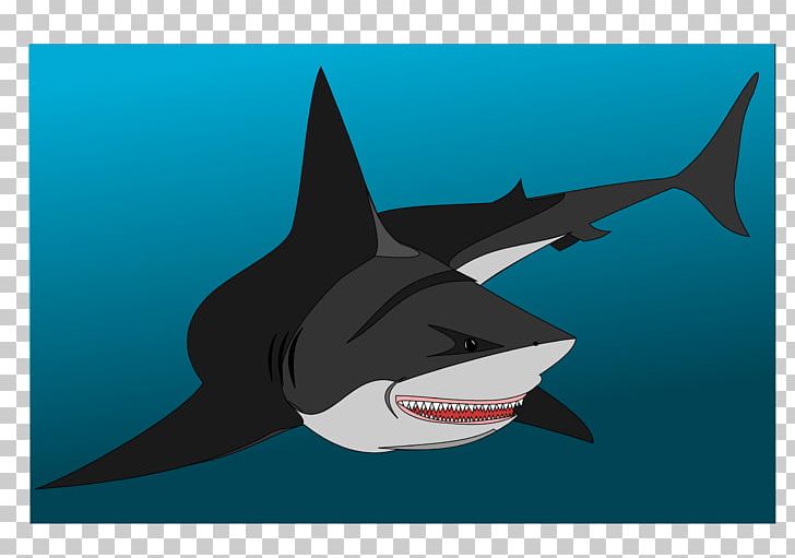 Great White Shark Fish Drawing Chondrichthyes Lamniformes PNG, Clipart, Acanthodii, Animals, Baby Shark, Cartilaginous Fish, Chondrichthyes Free PNG Download