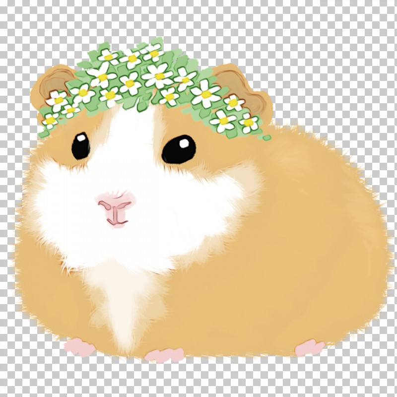 Hamster PNG, Clipart, Cat, Computer Mouse, Hamster, Paint, Snout Free PNG Download