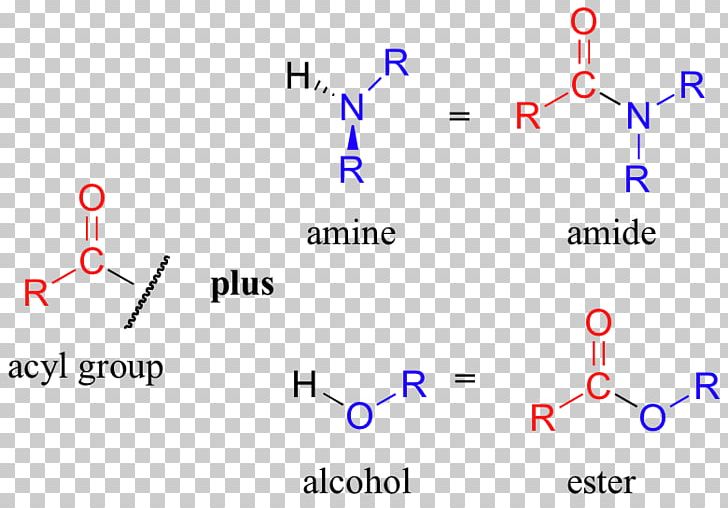 Amine Amide Acyl Group Functional Group Chemistry PNG, Clipart, Acid, Acyl Group, Alkyne, Amide, Amine Free PNG Download