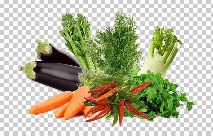 Leaf Vegetable Germination Food Herb PNG, Clipart, Agriculture, Carrot, Coriander, Diet Food, Food Free PNG Download