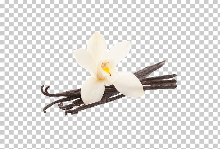 Vanilla Bean Flower PNG, Clipart, Food, Vanilla Free PNG Download