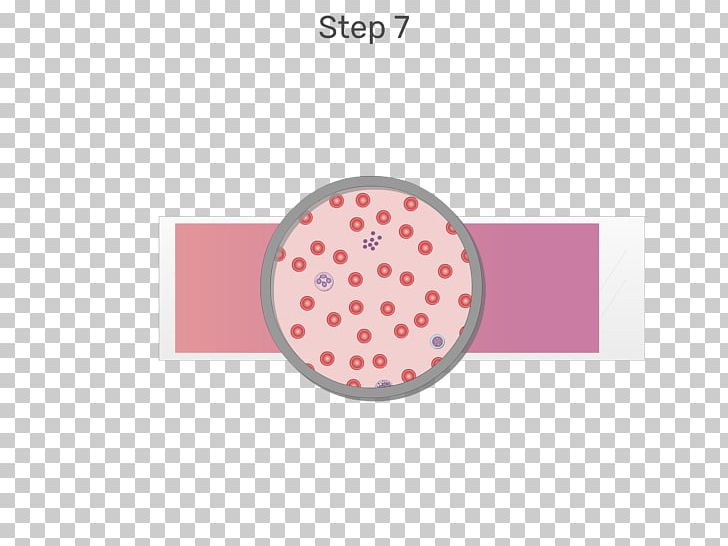 White Blood Cell Red Blood Cell PNG, Clipart, Absolute Neutrophil Count, Blood, Blood Cell, Blood Smear, Brand Free PNG Download