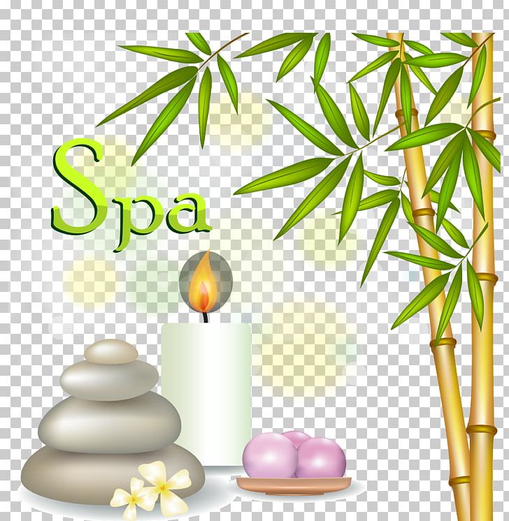Bambusodae Icon PNG, Clipart, Alternative Health Services, Alternative Medicine, Bamboo, Bambusodae, Branch Free PNG Download