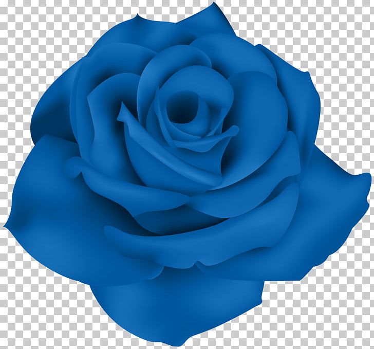 Blue Rose Portable Network Graphics Flower Garden Roses PNG, Clipart, Azure, Blue, Blue Flower, Blue Rose, Cobalt Blue Free PNG Download
