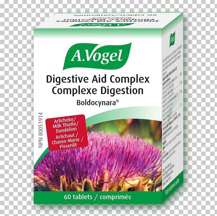 Dietary Supplement Artichoke Milk Thistle Tablet Vitamin PNG, Clipart, Alfred Vogel, Artichoke, Capsule, Dietary Supplement, Electronics Free PNG Download
