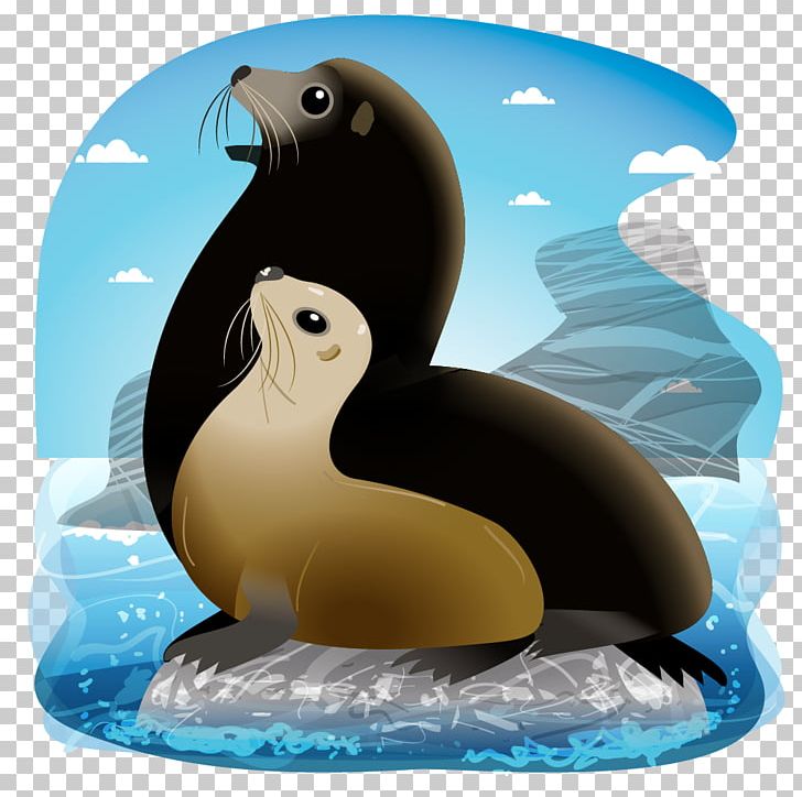 South American Sea Lion Mar Del Plata Gray Wolf PNG, Clipart, Animaatio, Animal, Animals, Beak, Bird Free PNG Download