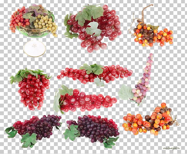 Wine Grapevines Berry Food PNG, Clipart, Auglis, Berry, Blackberry, Download, Flowering Plant Free PNG Download