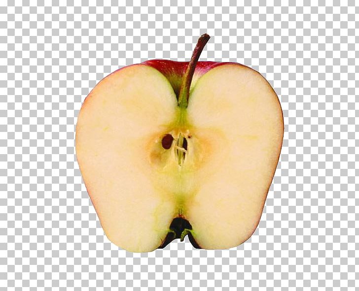 Apple PNG, Clipart, Adobe Illustrator, Apple, Apple Fruit, Apple Logo, Apples Free PNG Download