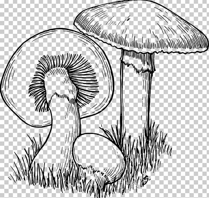 Mushroom Hunting Drawing Line Art PNG, Clipart, Art, Artwork, Black And White, Coloring Book, Diagram Free PNG Download