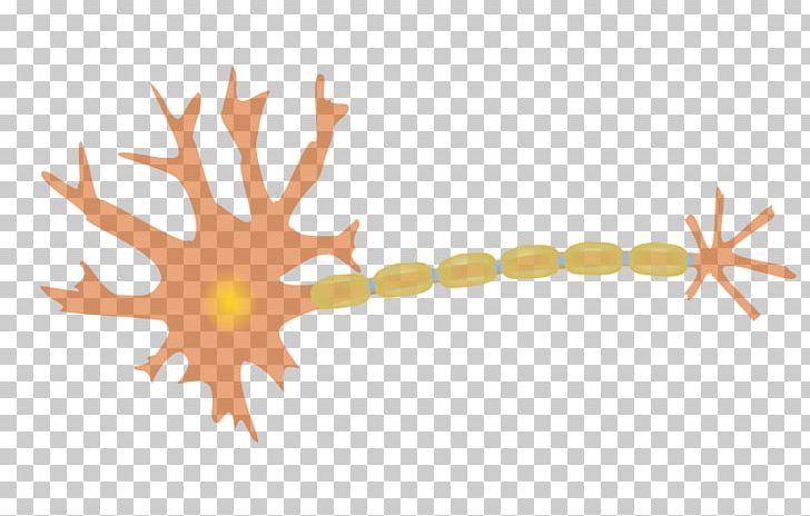 Neuron Nervous System Axon PNG, Clipart, Axon, Brain, Brain Cell, Computer Icons, Computer Wallpaper Free PNG Download