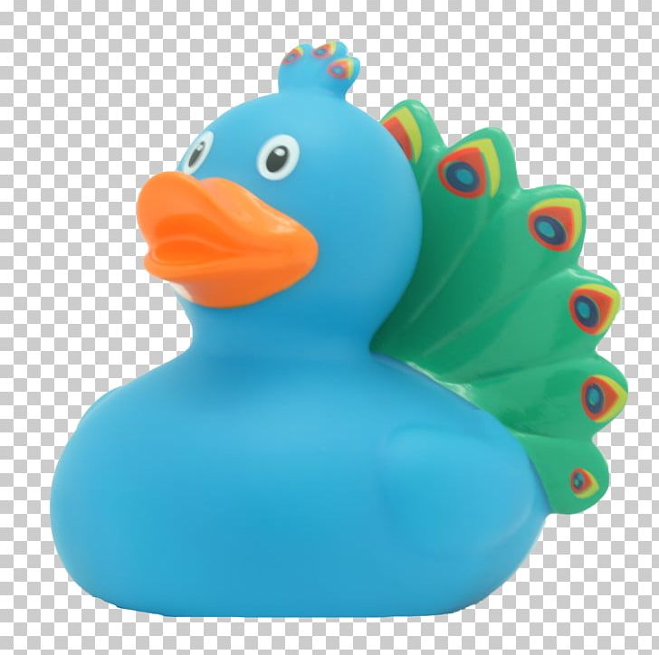 Rubber Duck Toy The Peacock Duck Baths PNG, Clipart, Amsterdam Duck Store, Animals, Bathing, Baths, Beak Free PNG Download