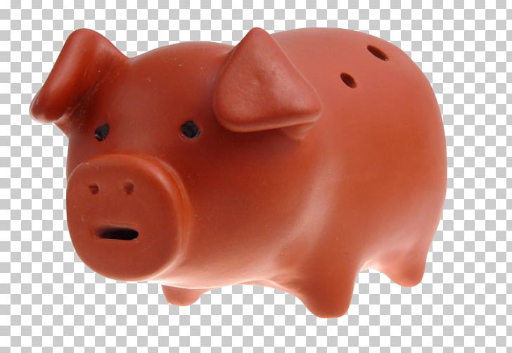 Snout Piggy Bank PNG, Clipart, Animals, Bank, Go To, Mammal, Nose Free PNG Download
