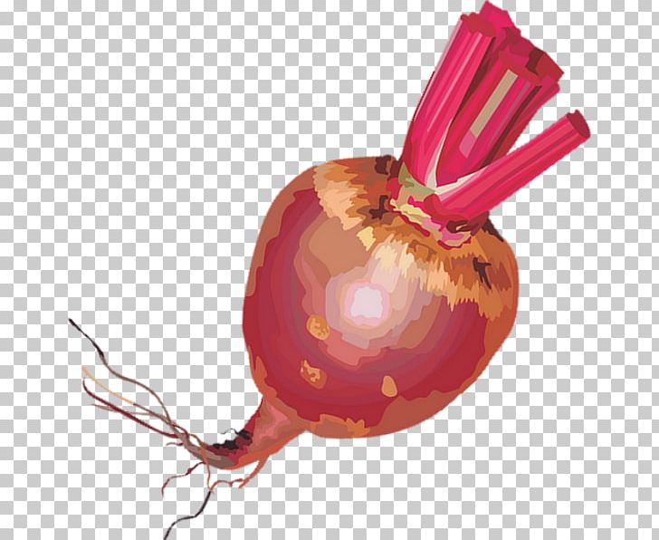 Tart Vegetable Beetroot Shallot Chard PNG, Clipart, Beet, Beetroot, Chard, Drawing, Food Free PNG Download