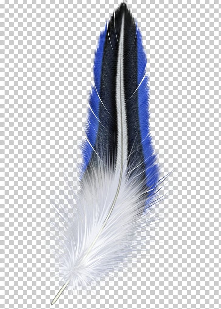 White Feather Bird PNG, Clipart, Animals, Bird, Blog, Computer Icons, Creative Commons License Free PNG Download