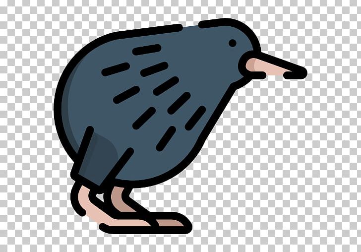 Bird Beak PNG, Clipart, Animals, Artwork, Beak, Bird, Kiwi Bird Free PNG Download