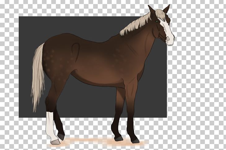 Foal Halter Mustang Stallion Horse Harnesses PNG, Clipart,  Free PNG Download