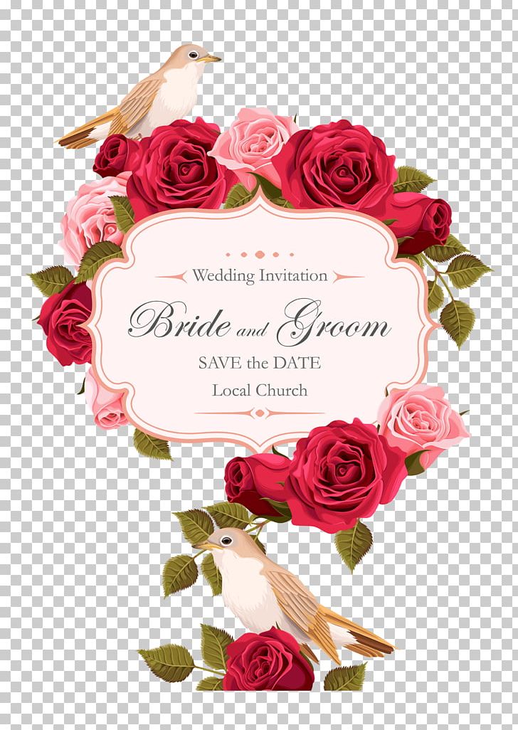 Wedding Invitation Rose Euclidean PNG, Clipart, Bird, Bird Cage, Border Texture, Bride, Cut Free PNG Download