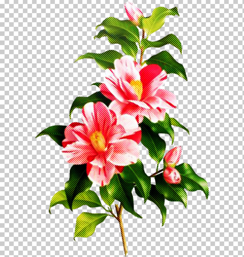 Artificial Flower PNG, Clipart, Anthurium, Artificial Flower, Bouquet, Camellia, Camellia Sasanqua Free PNG Download