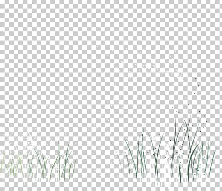 White Black Pattern PNG, Clipart, Angle, Background Green, Black, Black And White, Grass Free PNG Download