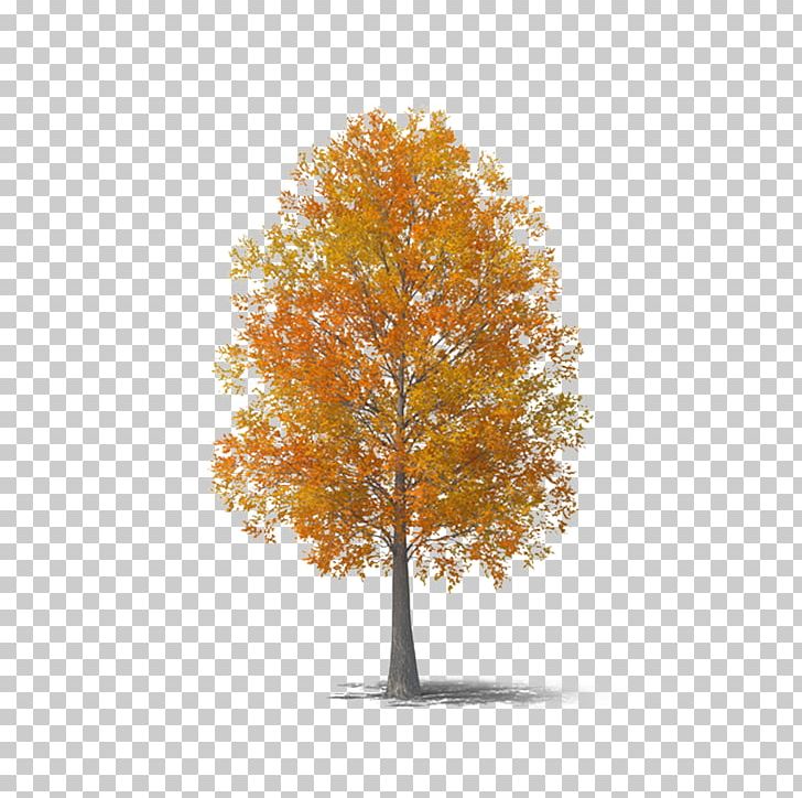 Autumn Tree PNG, Clipart, Adobe Illustrator, Aut, Autumn Leaves, Bleak, Branch Free PNG Download
