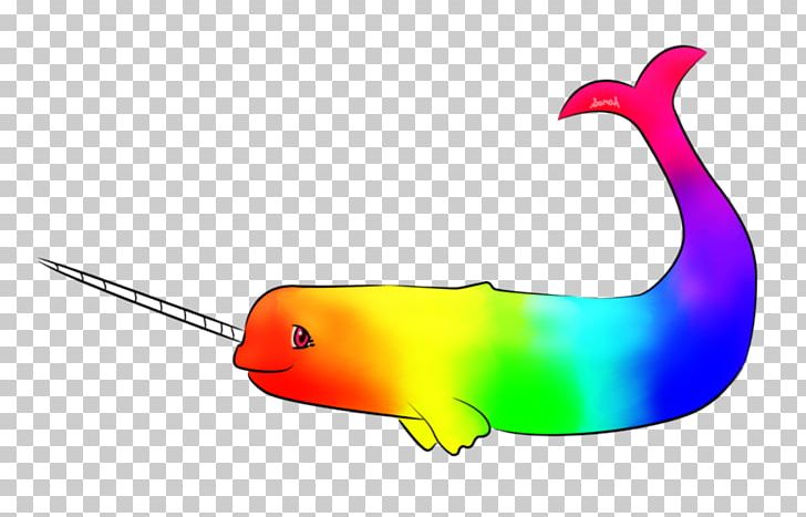 Narwhal Drawing Tusk Marine Mammal Rainbow PNG, Clipart, Animation, Art, Beak, Deviantart, Diagon Alley Free PNG Download