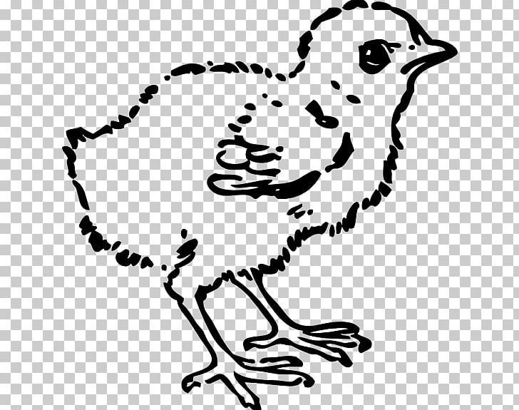Chicken Kifaranga Computer Icons PNG, Clipart, Art, Artwork, Baby Chick Tattoo, Beak, Bird Free PNG Download