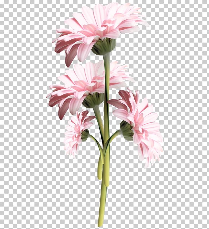 Nuvola PNG, Clipart, Annual Plant, Artificial Flower, Banco De Imagens, Chrysanths, Cicek Resimleri Free PNG Download