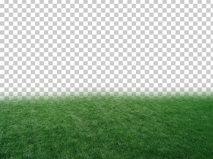 Pasture Lawn Meadow Grasses Grassland PNG, Clipart, Artificial Turf, Atmosphere, Brazil, Email, Field Free PNG Download