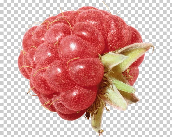 Raspberry PNG, Clipart, Berry, Computer Graphics, Cranberry, Food, Fruit Free PNG Download