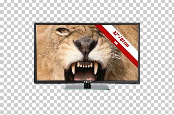 TV NEVIR 20 12V USB Black LED-backlit LCD HD Ready HDMI High-definition Television PNG, Clipart, 1080p, Brand, Cat Like Mammal, Digital Video Recorders, Electronics Free PNG Download