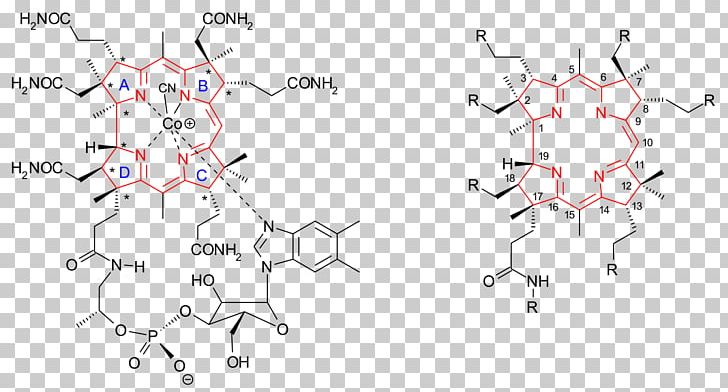 Vitamin B-12 Cobalamin Veganism Nutrition PNG, Clipart, Angle, Area, B Vitamins, Circle, Cobalamin Free PNG Download