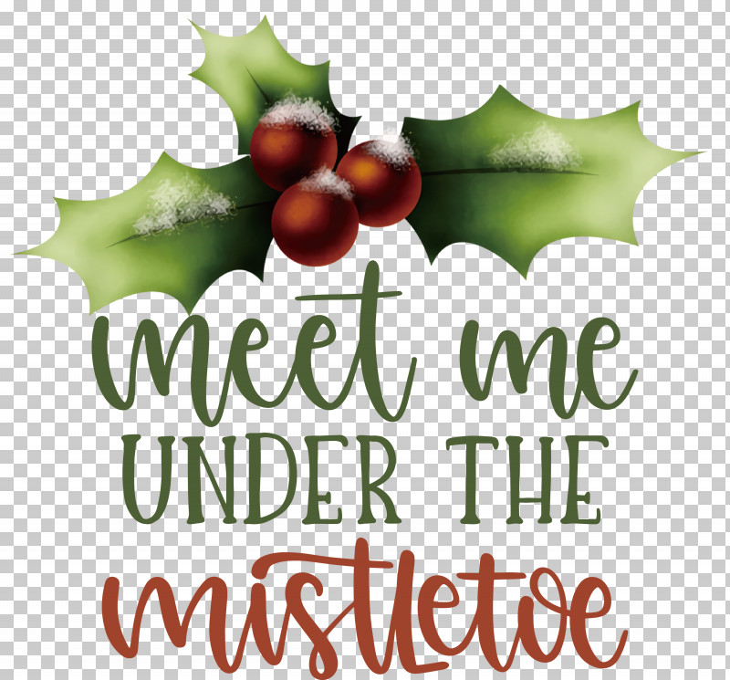 Meet Me Under The Mistletoe Mistletoe PNG, Clipart, Aquifoliaceae, Aquifoliales, Biology, Fruit, Holly Free PNG Download