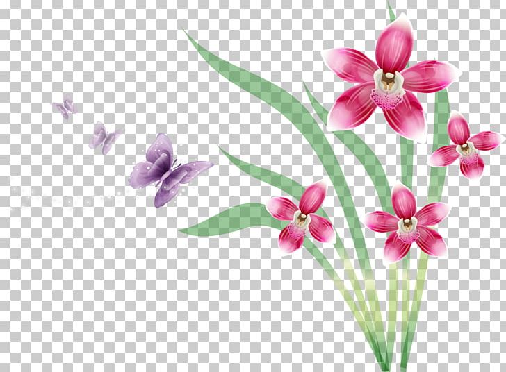 Butterfly Flower Orchids PNG, Clipart, Butterfly, Cut Flowers, Download, Encapsulated Postscript, Flora Free PNG Download