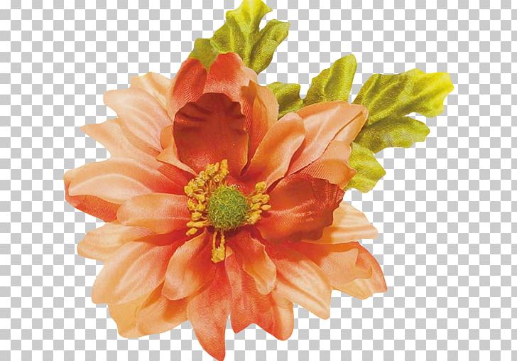 Cut Flowers Petal Chrysanthemum Diyarbakır PNG, Clipart, Chrysanthemum, Chrysanths, Cut Flowers, Daisy Family, Flower Free PNG Download