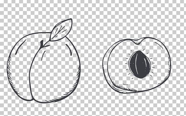 Peach Auglis PNG, Clipart, Auglis, Border Sketch, Brand, Cartoon, Circle Free PNG Download
