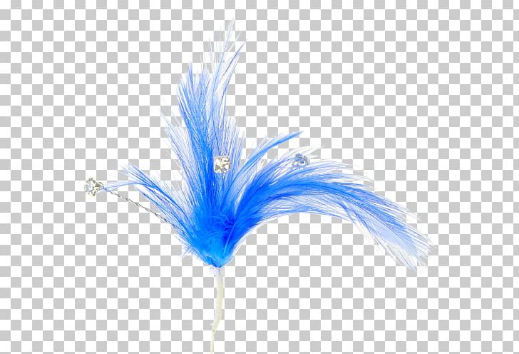 Royal Blue Red Floral Design PNG, Clipart, Black, Blue, Color, Corsage, Feather Free PNG Download