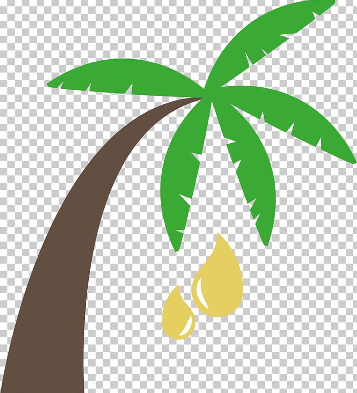 Arecaceae Palm Oil PNG, Clipart, Areca Palm, Collection, Collection Vector, Computer Icons, Drawing Free PNG Download