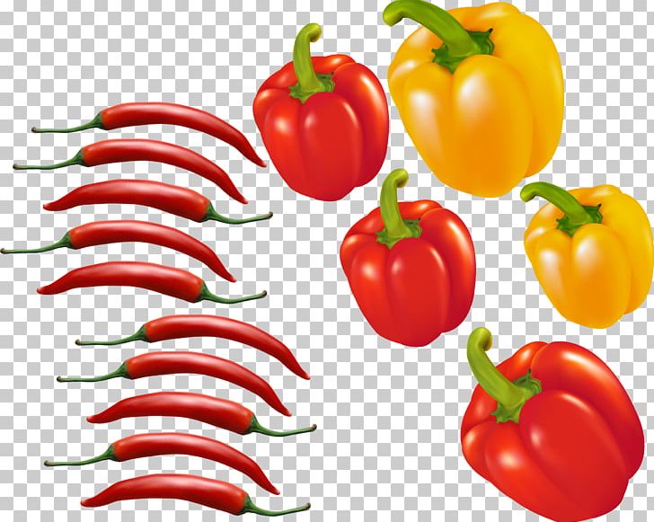 Bell Pepper Chili Pepper Tomato Euclidean PNG, Clipart, Bell Peppers And Chili Peppers, Food, Fruit, Happy Birthday Vector Images, Material Free PNG Download