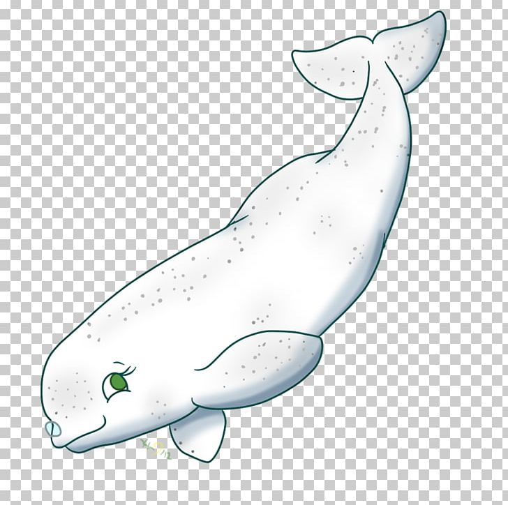 Beluga Whale Drawing PNG, Clipart, Animal Figure, Animals, Baby, Baleen, Beluga Whale Free PNG Download