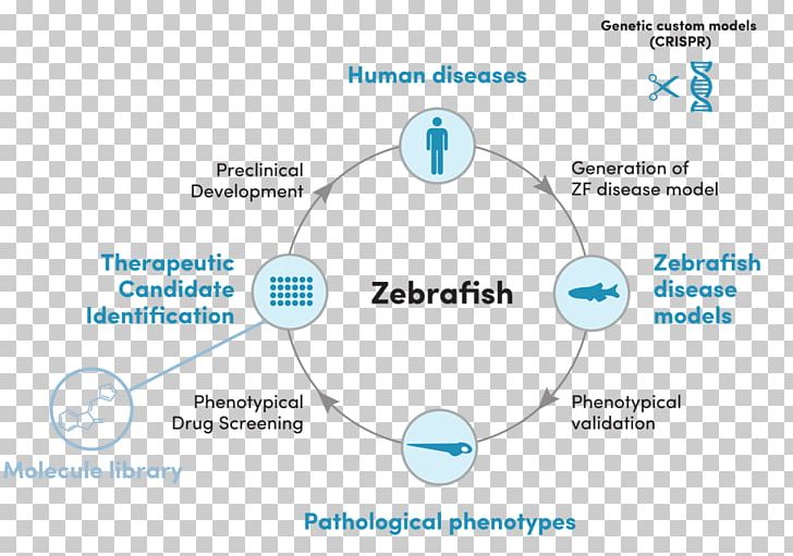 Brand Diagram Technology PNG, Clipart, Area, Brand, Circle, Communication, Diagram Free PNG Download