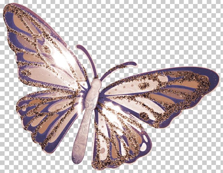Butterfly PNG, Clipart, Beautiful, Beautiful Girl, Brush Footed Butterfly, Butterflies, Butterfly Free PNG Download