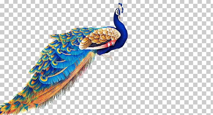 Peafowl PNG, Clipart, Adobe Illustrator, Animals, Beautiful, Chinese, Chinese Style Free PNG Download