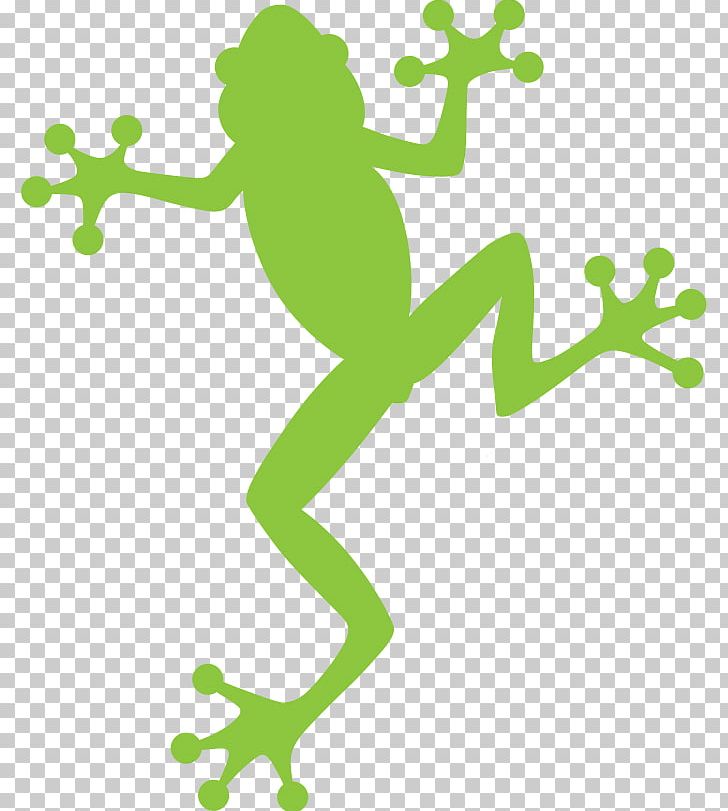 Tree Frog Planning Project Skate World Center Inc. PNG, Clipart, 3d Rendering, Amazing Frog 3d, Amphibian, Area, Art Free PNG Download