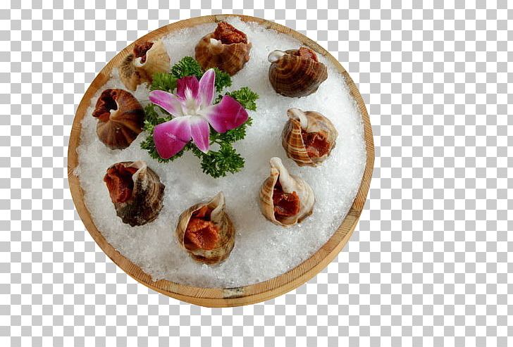 Vegetarian Cuisine Plate Recipe Dish Finger Food PNG, Clipart, Conch, Cuisine, Delicious, Dish, Dishes Free PNG Download