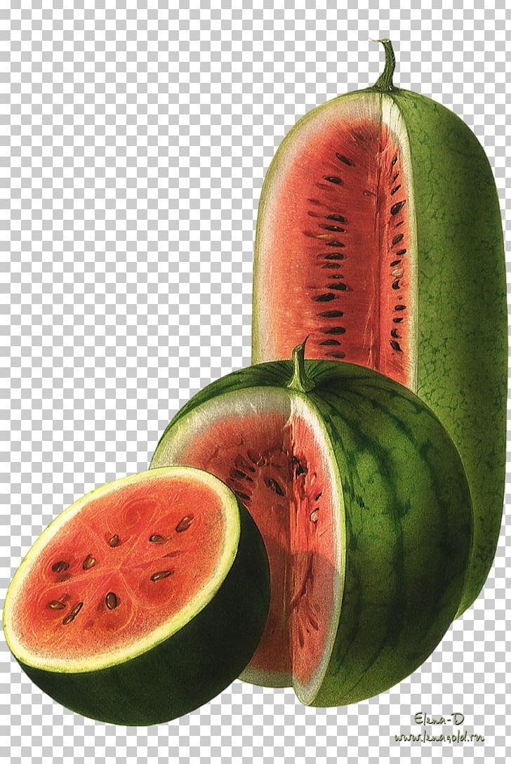 Watermelon Citrullus Lanatus Food Art PNG, Clipart, Citrullus Lanatus, Citrus, Cucumber Gourd And Melon Family, Diet Food, Drawing Free PNG Download