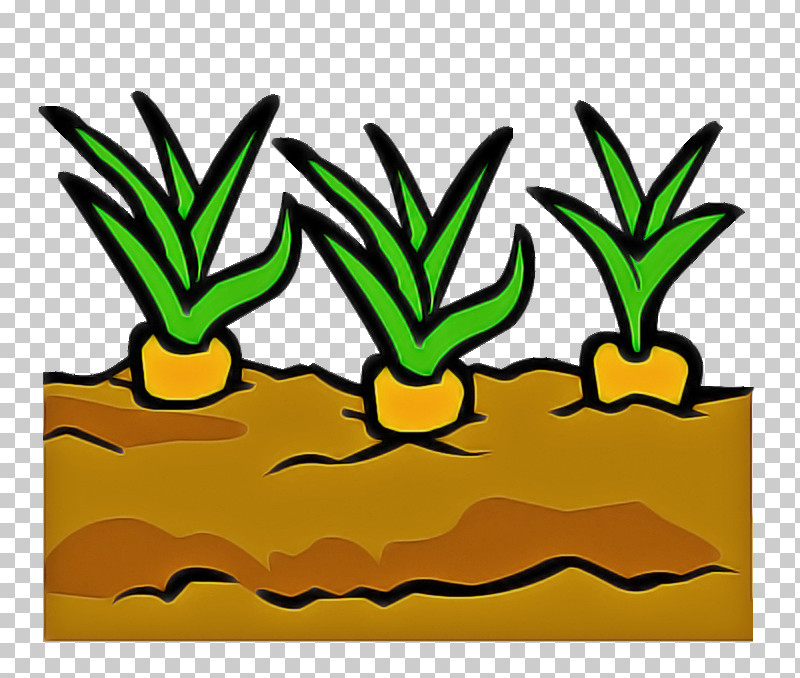Yellow Green Leaf Plant Houseplant PNG, Clipart, Flower, Flowerpot, Grass, Green, Houseplant Free PNG Download