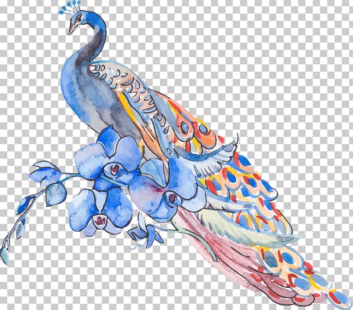 Peafowl Feather Illustration PNG, Clipart, Animal, Animal Illustration, Animals, Asiatic Peafowl, Bird Free PNG Download
